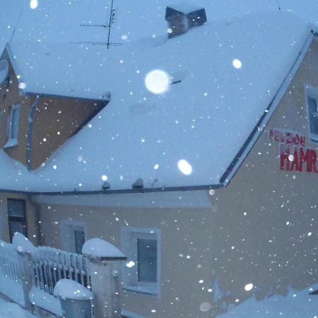 Penzion Hamrak Ceske Hamry エクステリア 写真