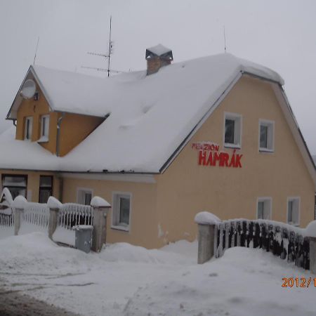 Penzion Hamrak Ceske Hamry エクステリア 写真