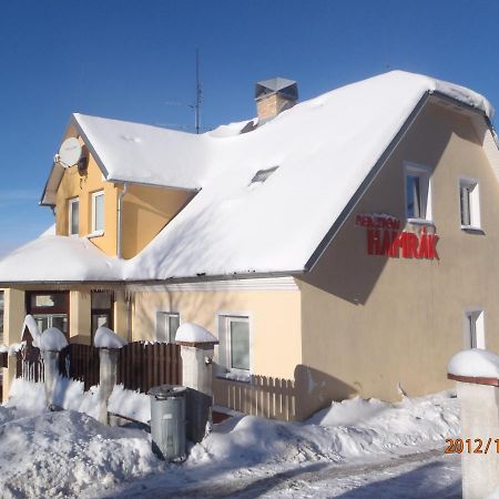 Penzion Hamrak Ceske Hamry エクステリア 写真