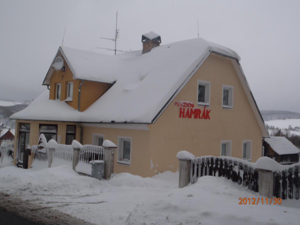 Penzion Hamrak Ceske Hamry エクステリア 写真